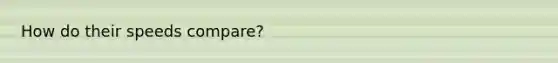 How do their speeds compare?