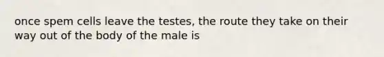 once spem cells leave the testes, the route they take on their way out of the body of the male is