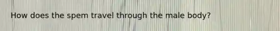 How does the spem travel through the male body?