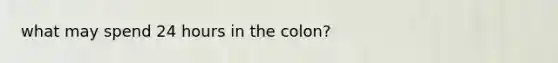 what may spend 24 hours in the colon?