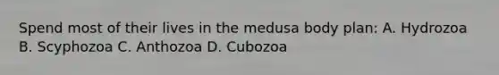 Spend most of their lives in the medusa body plan: A. Hydrozoa B. Scyphozoa C. Anthozoa D. Cubozoa