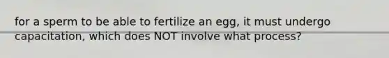 for a sperm to be able to fertilize an egg, it must undergo capacitation, which does NOT involve what process?