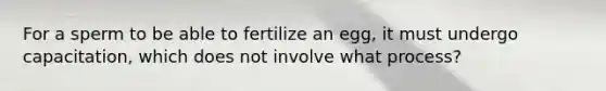 For a sperm to be able to fertilize an egg, it must undergo capacitation, which does not involve what process?