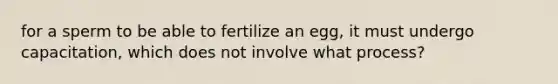 for a sperm to be able to fertilize an egg, it must undergo capacitation, which does not involve what process?