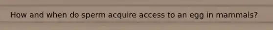 How and when do sperm acquire access to an egg in mammals?