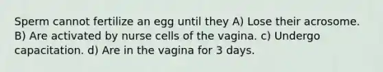 Sperm cannot fertilize an egg until they A) Lose their acrosome. B) Are activated by nurse cells of the vagina. c) Undergo capacitation. d) Are in the vagina for 3 days.