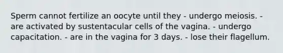 Sperm cannot fertilize an oocyte until they - undergo meiosis. - are activated by sustentacular cells of the vagina. - undergo capacitation. - are in the vagina for 3 days. - lose their flagellum.