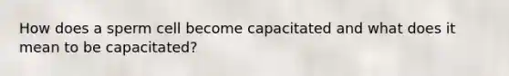 How does a sperm cell become capacitated and what does it mean to be capacitated?
