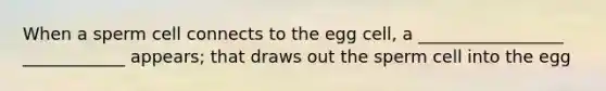 When a sperm cell connects to the egg cell, a _________________ ____________ appears; that draws out the sperm cell into the egg