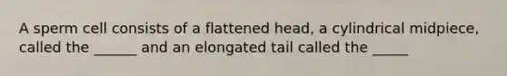 A sperm cell consists of a flattened head, a cylindrical midpiece, called the ______ and an elongated tail called the _____