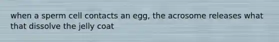 when a sperm cell contacts an egg, the acrosome releases what that dissolve the jelly coat