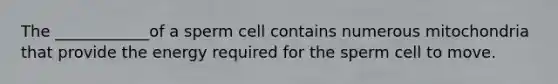 The ____________of a sperm cell contains numerous mitochondria that provide the energy required for the sperm cell to move.