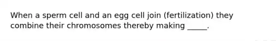 When a sperm cell and an egg cell join (fertilization) they combine their chromosomes thereby making _____.