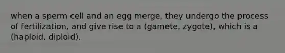 when a sperm cell and an egg merge, they undergo the process of fertilization, and give rise to a (gamete, zygote), which is a (haploid, diploid).