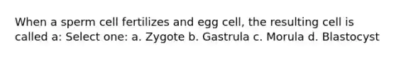 When a sperm cell fertilizes and egg cell, the resulting cell is called a: Select one: a. Zygote b. Gastrula c. Morula d. Blastocyst