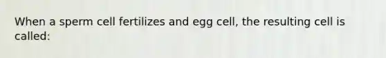 When a sperm cell fertilizes and egg cell, the resulting cell is called: