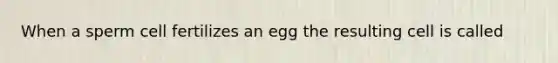 When a sperm cell fertilizes an egg the resulting cell is called