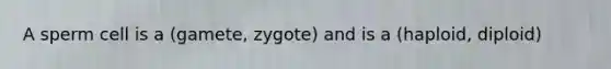 A sperm cell is a (gamete, zygote) and is a (haploid, diploid)