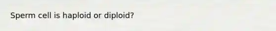 Sperm cell is haploid or diploid?