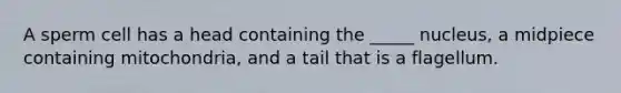 A sperm cell has a head containing the _____ nucleus, a midpiece containing mitochondria, and a tail that is a flagellum.