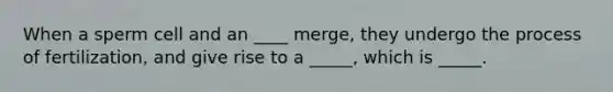 When a sperm cell and an ____ merge, they undergo the process of fertilization, and give rise to a _____, which is _____.