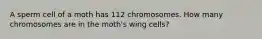 A sperm cell of a moth has 112 chromosomes. How many chromosomes are in the moth's wing cells?