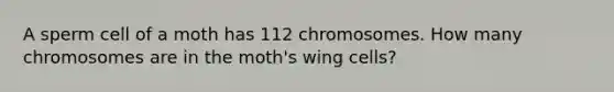 A sperm cell of a moth has 112 chromosomes. How many chromosomes are in the moth's wing cells?