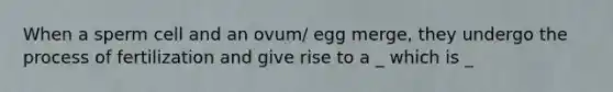 When a sperm cell and an ovum/ egg merge, they undergo the process of fertilization and give rise to a _ which is _