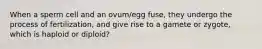 When a sperm cell and an ovum/egg fuse, they undergo the process of fertilization, and give rise to a gamete or zygote, which is haploid or diploid?