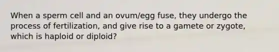 When a sperm cell and an ovum/egg fuse, they undergo the process of fertilization, and give rise to a gamete or zygote, which is haploid or diploid?