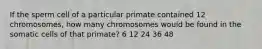 If the sperm cell of a particular primate contained 12 chromosomes, how many chromosomes would be found in the somatic cells of that primate? 6 12 24 36 48