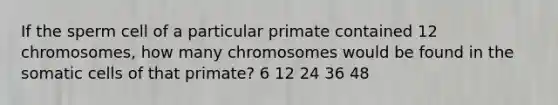 If the sperm cell of a particular primate contained 12 chromosomes, how many chromosomes would be found in the somatic cells of that primate? 6 12 24 36 48