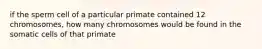 if the sperm cell of a particular primate contained 12 chromosomes, how many chromosomes would be found in the somatic cells of that primate