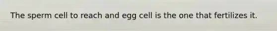 The sperm cell to reach and egg cell is the one that fertilizes it.