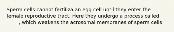 Sperm cells cannot fertiliza an egg cell until they enter the female reproductive tract. Here they undergo a process called _____, which weakens the acrosomal membranes of sperm cells