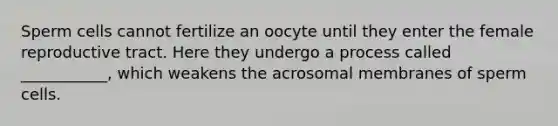 Sperm cells cannot fertilize an oocyte until they enter the female reproductive tract. Here they undergo a process called ___________, which weakens the acrosomal membranes of sperm cells.