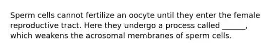 Sperm cells cannot fertilize an oocyte until they enter the female reproductive tract. Here they undergo a process called ______, which weakens the acrosomal membranes of sperm cells.