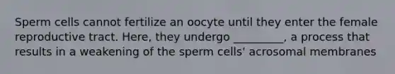 Sperm cells cannot fertilize an oocyte until they enter the female reproductive tract. Here, they undergo _________, a process that results in a weakening of the sperm cells' acrosomal membranes