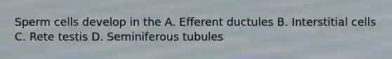 Sperm cells develop in the A. Efferent ductules B. Interstitial cells C. Rete testis D. Seminiferous tubules