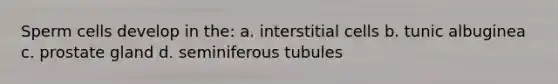 Sperm cells develop in the: a. interstitial cells b. tunic albuginea c. prostate gland d. seminiferous tubules