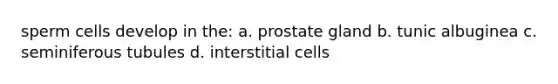 sperm cells develop in the: a. prostate gland b. tunic albuginea c. seminiferous tubules d. interstitial cells