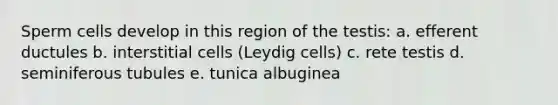 Sperm cells develop in this region of the testis: a. efferent ductules b. interstitial cells (Leydig cells) c. rete testis d. seminiferous tubules e. tunica albuginea