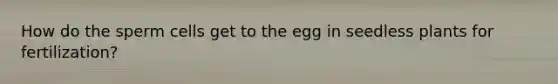 How do the sperm cells get to the egg in seedless plants for fertilization?