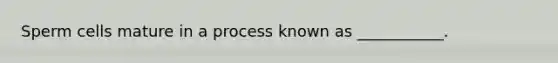 Sperm cells mature in a process known as ___________.