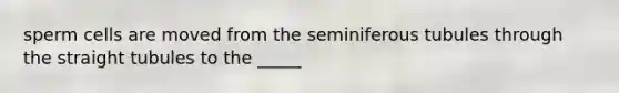 sperm cells are moved from the seminiferous tubules through the straight tubules to the _____