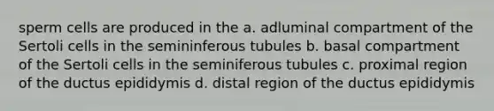 sperm cells are produced in the a. adluminal compartment of the Sertoli cells in the semininferous tubules b. basal compartment of the Sertoli cells in the seminiferous tubules c. proximal region of the ductus epididymis d. distal region of the ductus epididymis