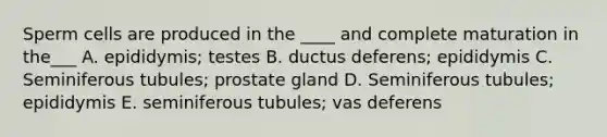 Sperm cells are produced in the ____ and complete maturation in the___ A. epididymis; testes B. ductus deferens; epididymis C. Seminiferous tubules; prostate gland D. Seminiferous tubules; epididymis E. seminiferous tubules; vas deferens