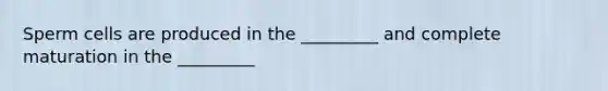 Sperm cells are produced in the _________ and complete maturation in the _________