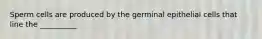 Sperm cells are produced by the germinal epithelial cells that line the __________