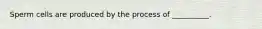 Sperm cells are produced by the process of __________.